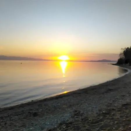 Starfish Pelion Milies South Pelion *