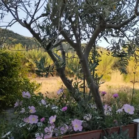 펜션 Starfish Pelion Milies South Pelion 코로피