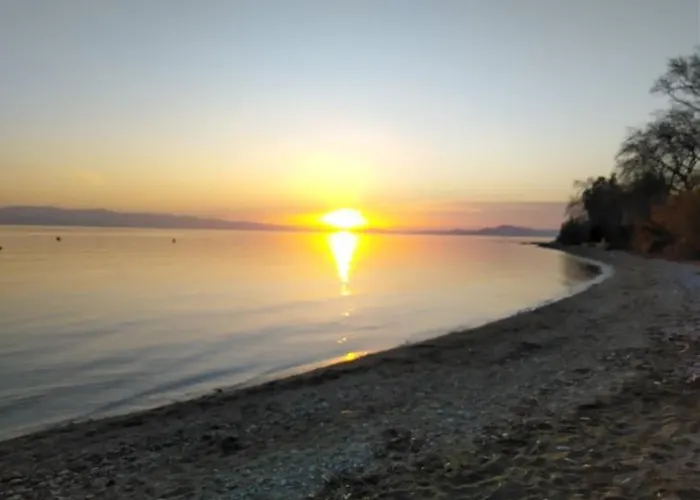 Starfish Pelion Milies South Pelion *