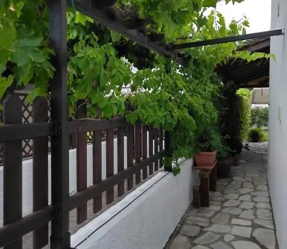 Starfish Pelion Milies South Pelion *