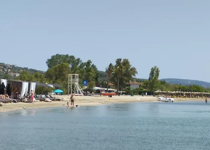 Starfish Pelion Milies South Pelion