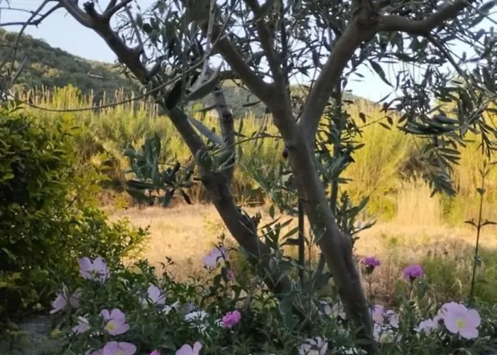 Semesterbostad Starfish Pelion Milies South Pelion Koropi