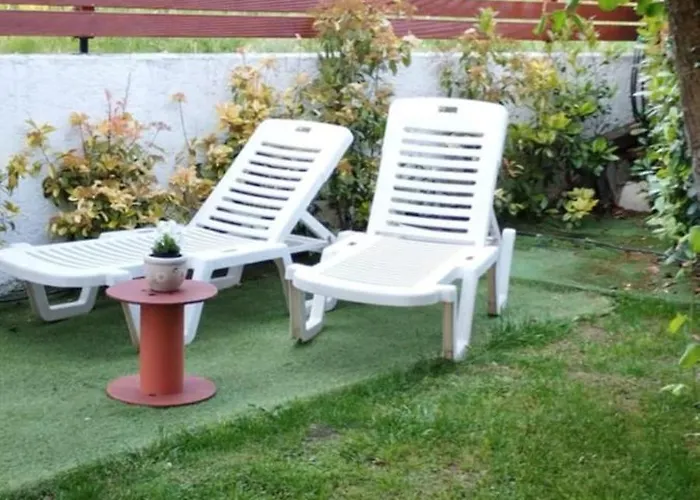 Starfish Pelion Milies South Pelion *