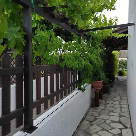 Starfish Pelion Milies South Pelion *