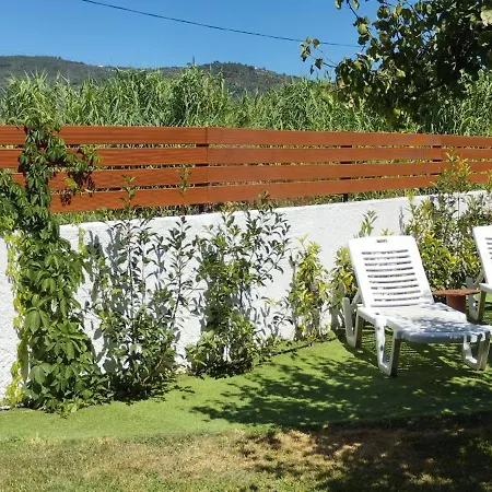 Starfish Pelion Milies South Pelion