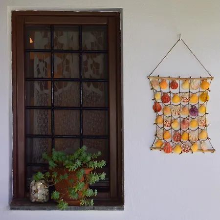 Starfish Pelion Milies South Pelion * 科罗皮