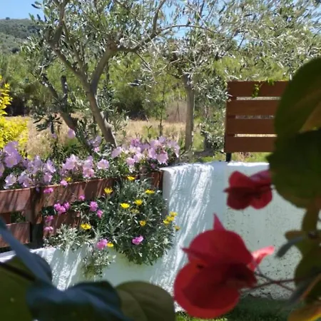 Holiday home Starfish Pelion Milies South Pelion Koropi